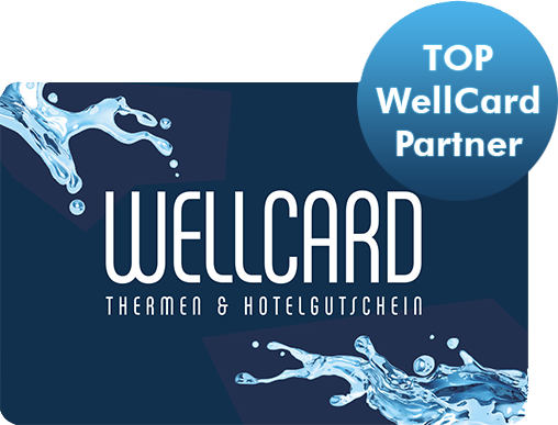 Top WellCard Partner.png